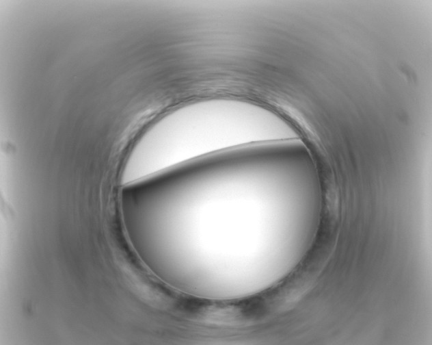 X0000091240403200708091134
