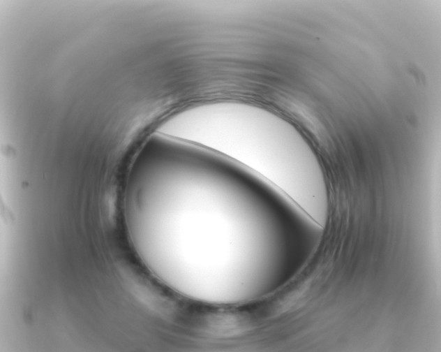 X0000091240404200708091134