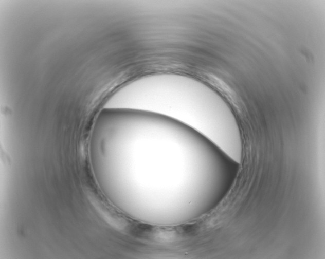 X0000091240405200708091134