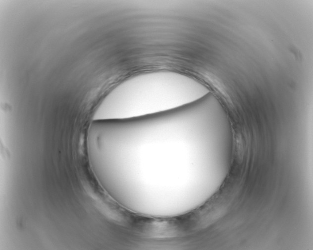 X0000091240406200708091134