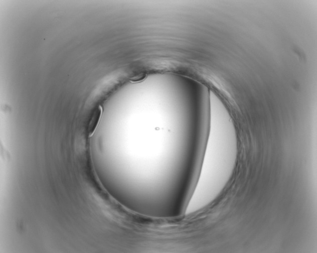 X0000091240407200708091134