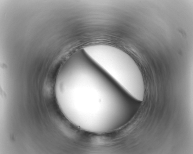 X0000091240408200708091134