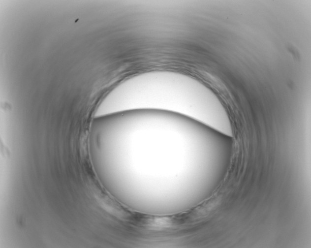 X0000091240409200708091134