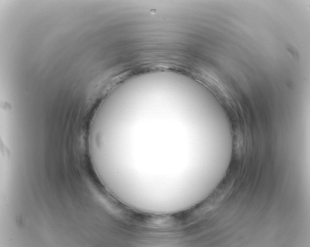X0000091240410200708091134