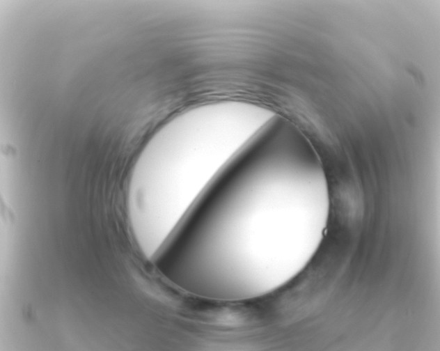 X0000091240412200708091134