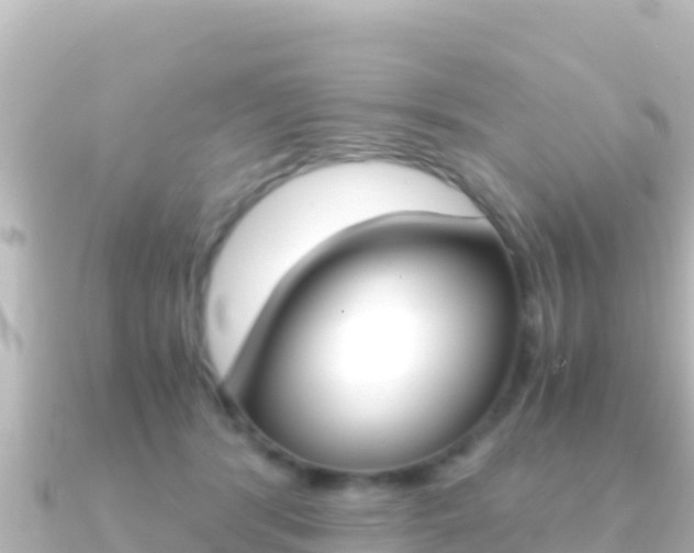 X0000091240416200708091134
