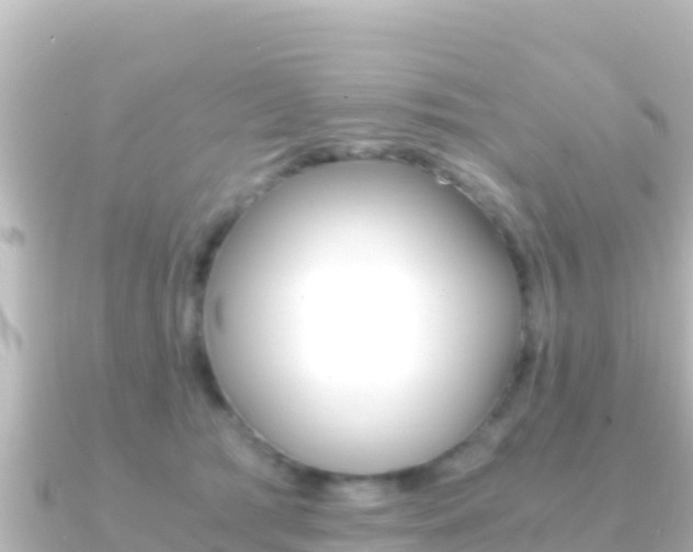 X0000091240417200708091134