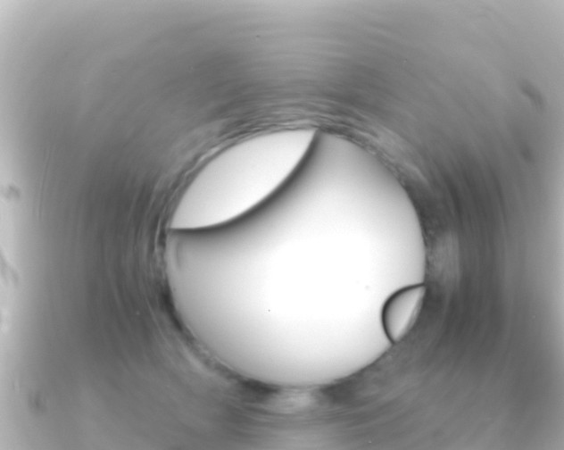 X0000091240418200708091134