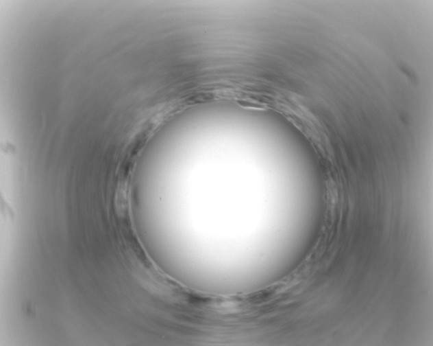 X0000091240419200708091134