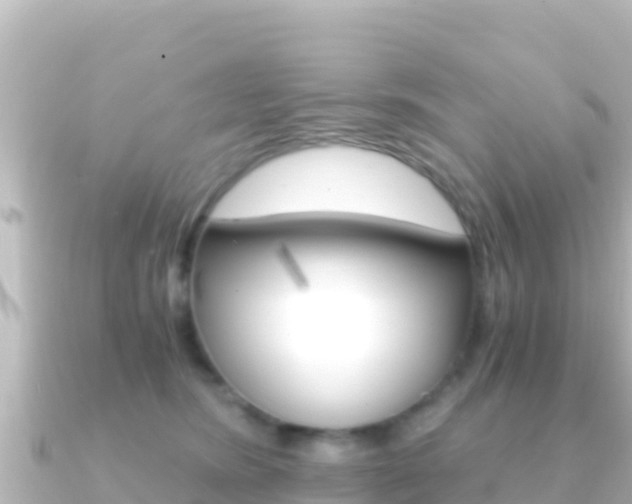 X0000091240420200708091134