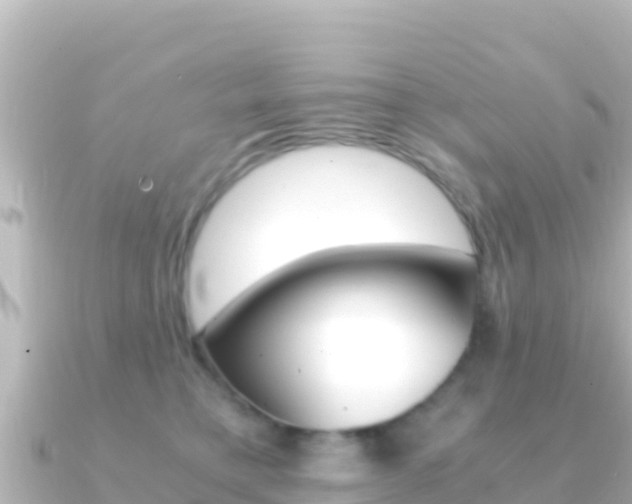 X0000091240421200708091134
