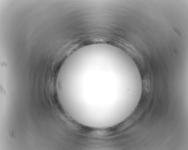 X0000091240422200708091134