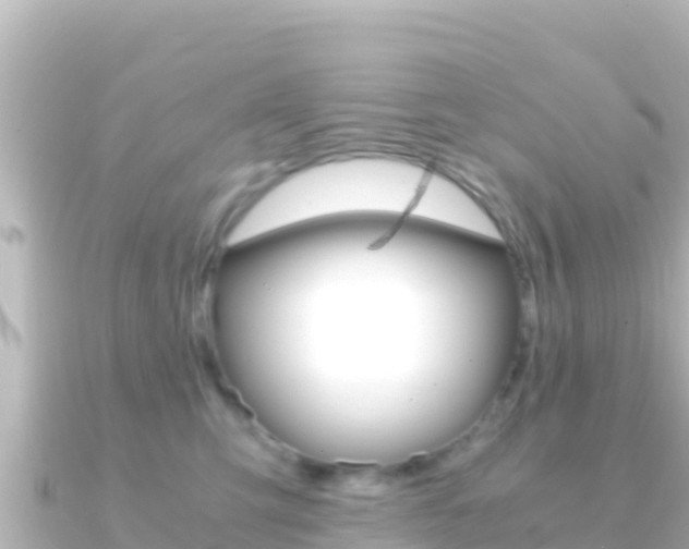 X0000091240423200708091134