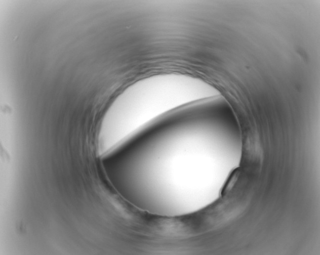 X0000091240424200708091134