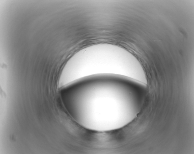X0000091240425200708091134