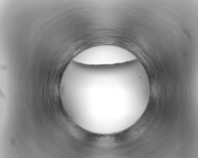 X0000091240426200708091134