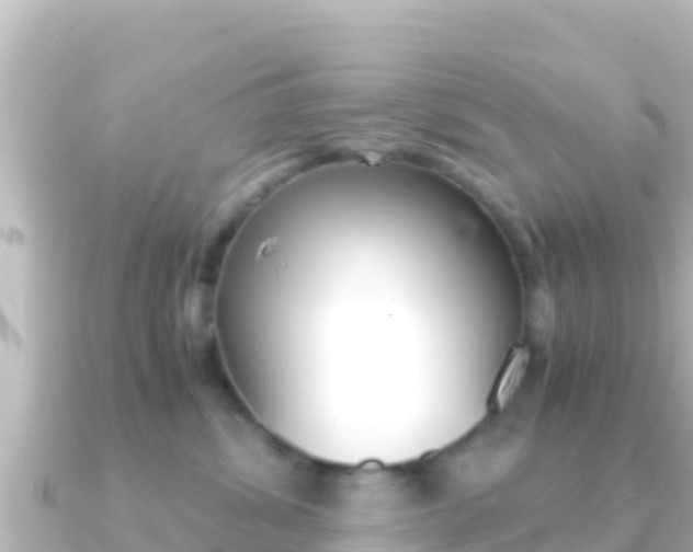 X0000091240428200708091134