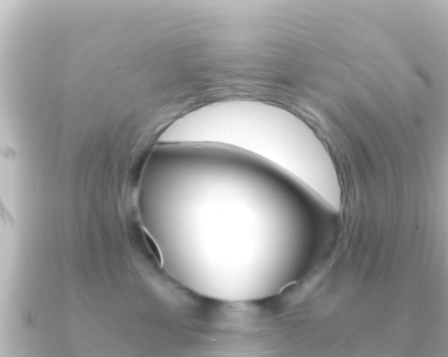 X0000091240429200708091134