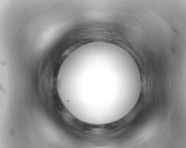 X0000091240430200708091134