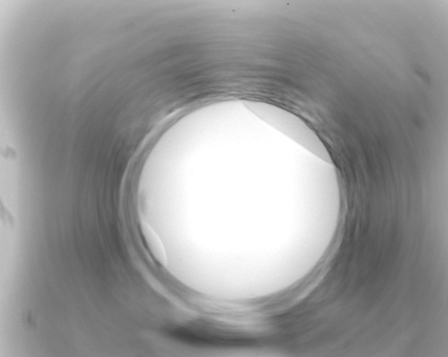 X0000091240431200708091134