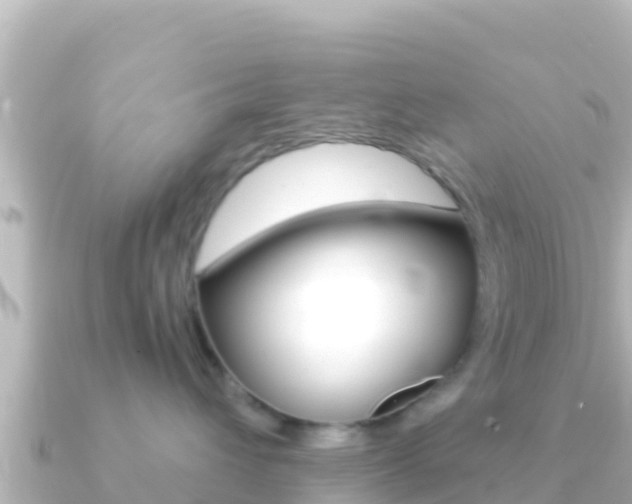 X0000091240432200708091134