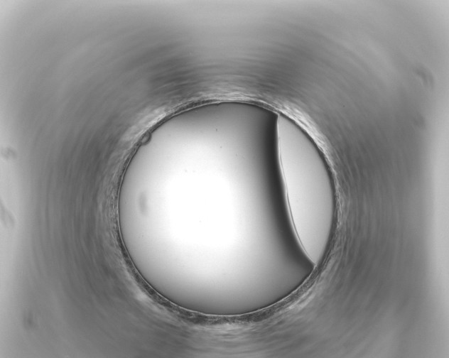 X0000091240433200708091134