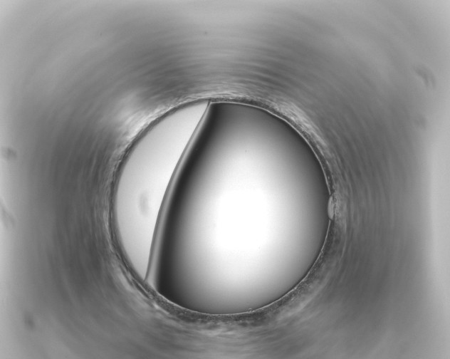 X0000091240434200708091134