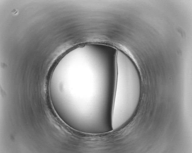 X0000091240435200708091134