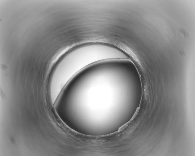 X0000091240436200708091134