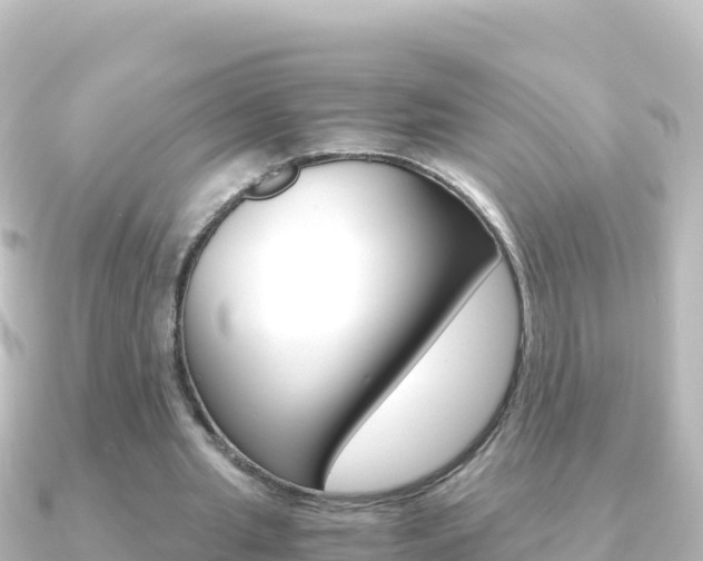 X0000091240437200708091134