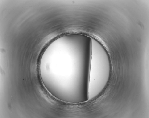 X0000091240439200708091134
