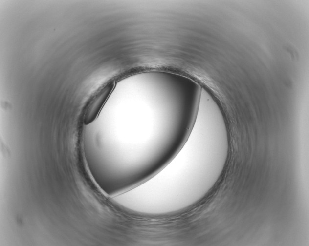 X0000091240440200708091134