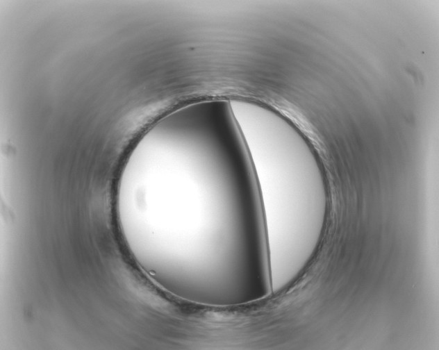 X0000091240442200708091134