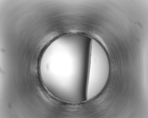 X0000091240443200708091134