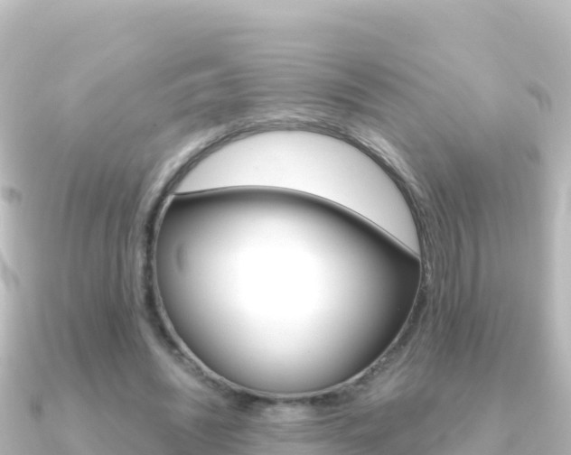 X0000091240444200708091134