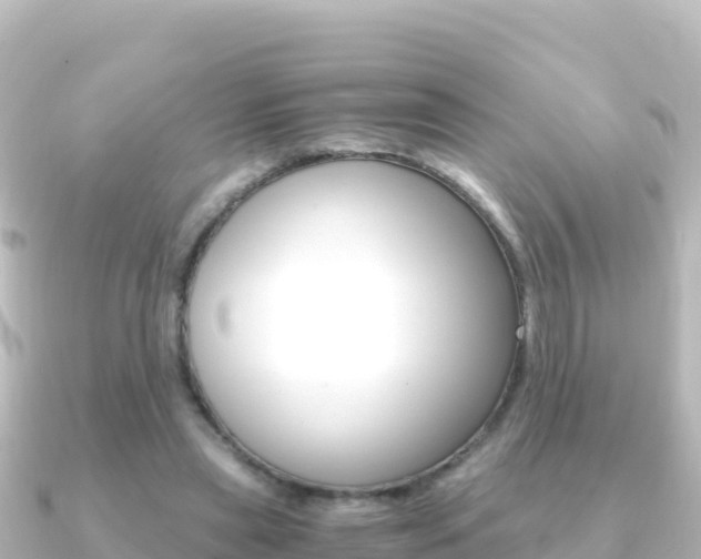 X0000091240445200708091134