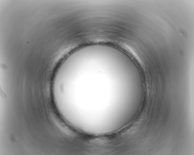 X0000091240447200708091134