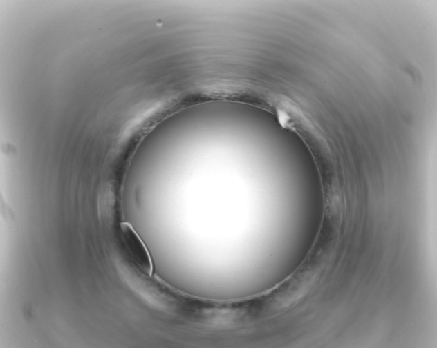 X0000091240448200708091134