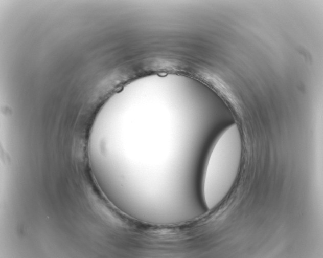 X0000091240449200708091134