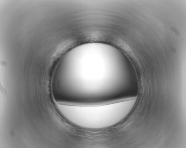 X0000091240450200708091134