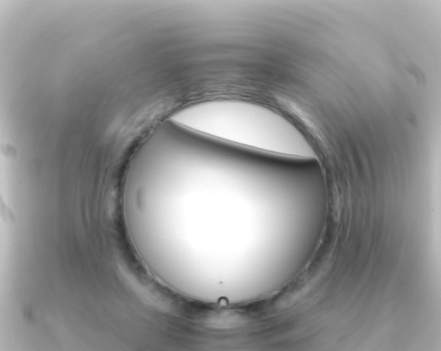 X0000091240451200708091134