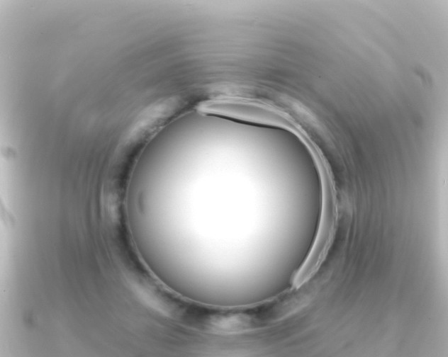 X0000091240452200708091134