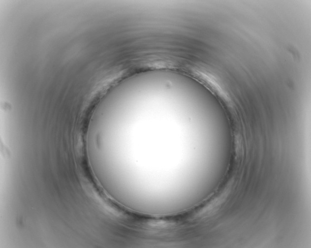 X0000091240453200708091134