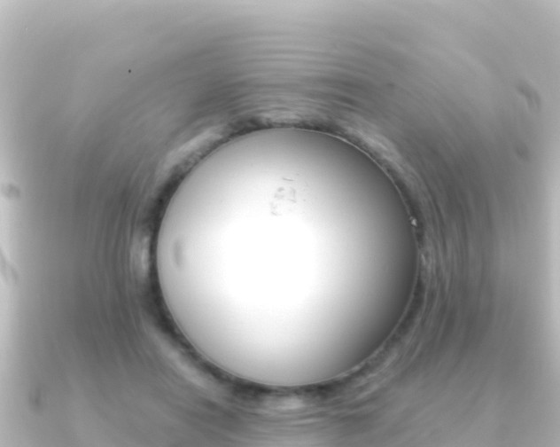 X0000091240454200708091134
