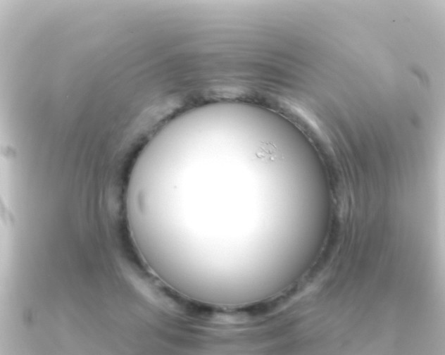 X0000091240455200708091134