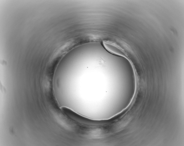 X0000091240456200708091134