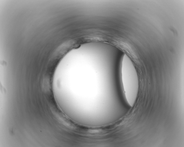 X0000091240457200708091134