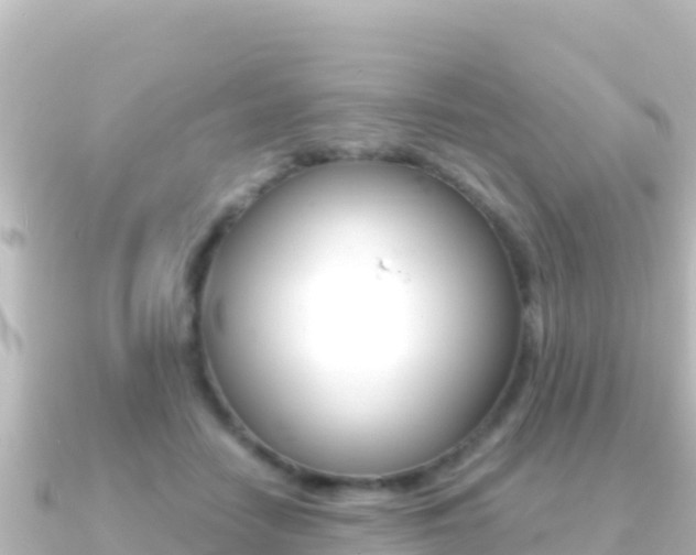 X0000091240458200708091134