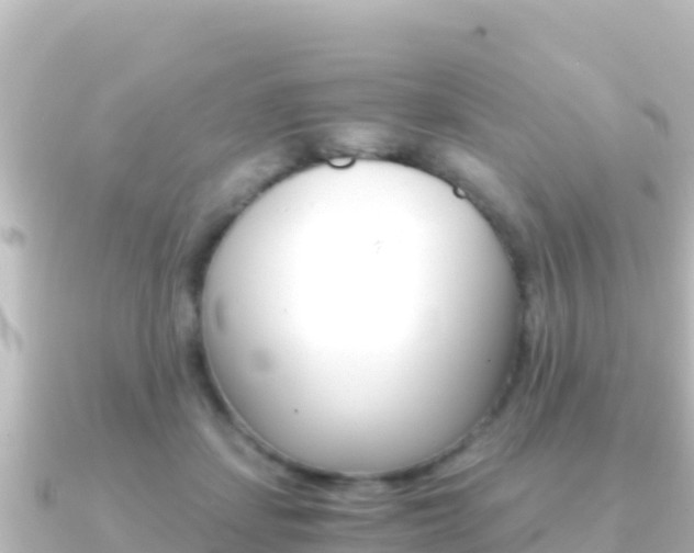 X0000091240459200708091134