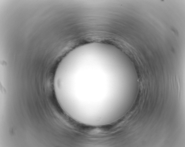 X0000091240460200708091134